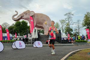 BIB: 
                            <button type="button" onclick="openModal(26528748)" class="btn btn-primary btn-sm float-right btn-popup" data-toggle="modal" data-target=".modal-high-quality">
                        <i class="fas fa-shopping-cart"></i> Add to Cart
                    </button>
                                            <button type="button" onclick="isThisMe(26528748, true)" class="btn btn-success btn-sm float-right btn-popup btn-isme hidden" data-toggle="tooltip" data-placement="bottom" title="นี่คือรูปของคุณใช่ไหม คลิกที่นี่เพื่อเอาเข้าอัลบั้ม">
                        <i class="fas fa-plus"></i> Add to album
                    </button>
                    <button type="button" onclick="isThisMe(26528748, false)" class="btn btn-warning btn-sm float-right btn-popup btn-isnotme hidden">
                        <i class="fas fa-ban"></i> Remove from album
                    </button>